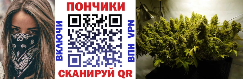 Купить где  Иланский  Конопля марихуана 